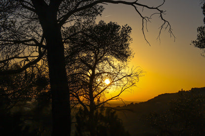 Soleil couchant visible entre les pins, reliefs d’Aix en arrière-plan