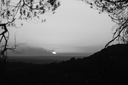 Disque solaire disparaissant derrière un lointain nuage, encadré par des branches à Bibemus, noir et blanc