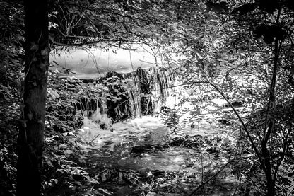 Cascade de la rivière de l’Arc entourée de feuillages verts et de lianes, noir et blanc