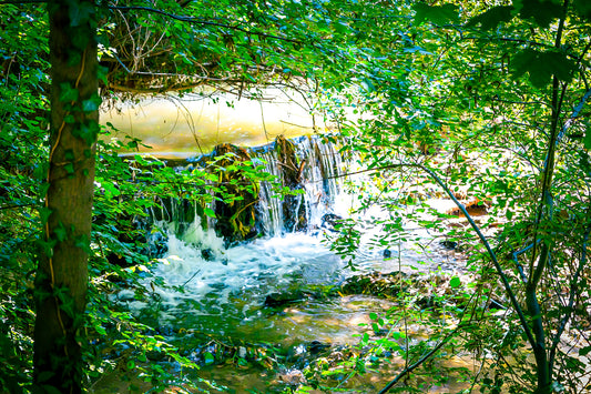 Cascade de la rivière de l’Arc entourée de feuillages verts et de lianes