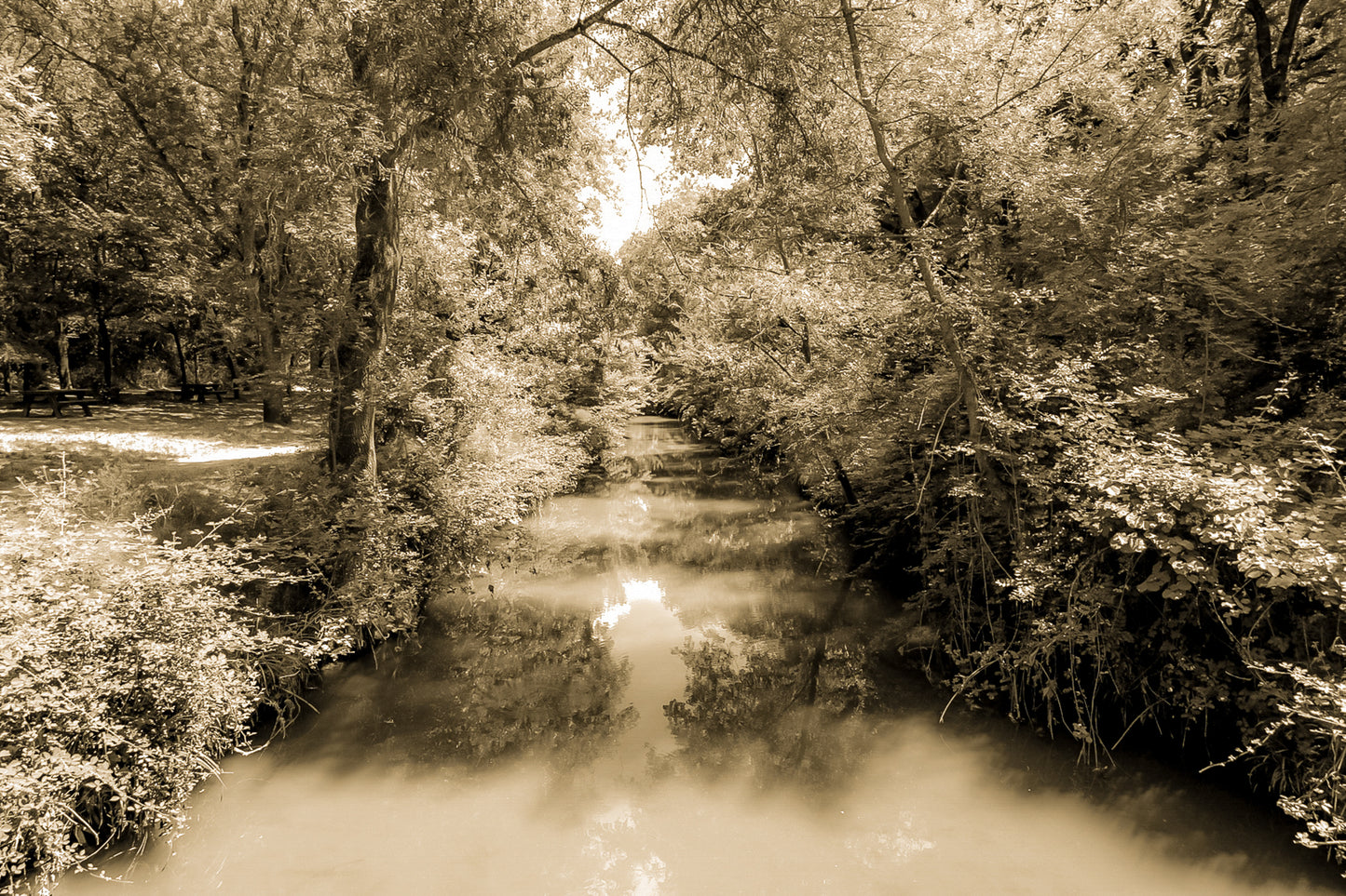 Rivière de l’Arc paisible entourée de grands arbres avec zone de pique-nique à Aix-en-Provence, vintage