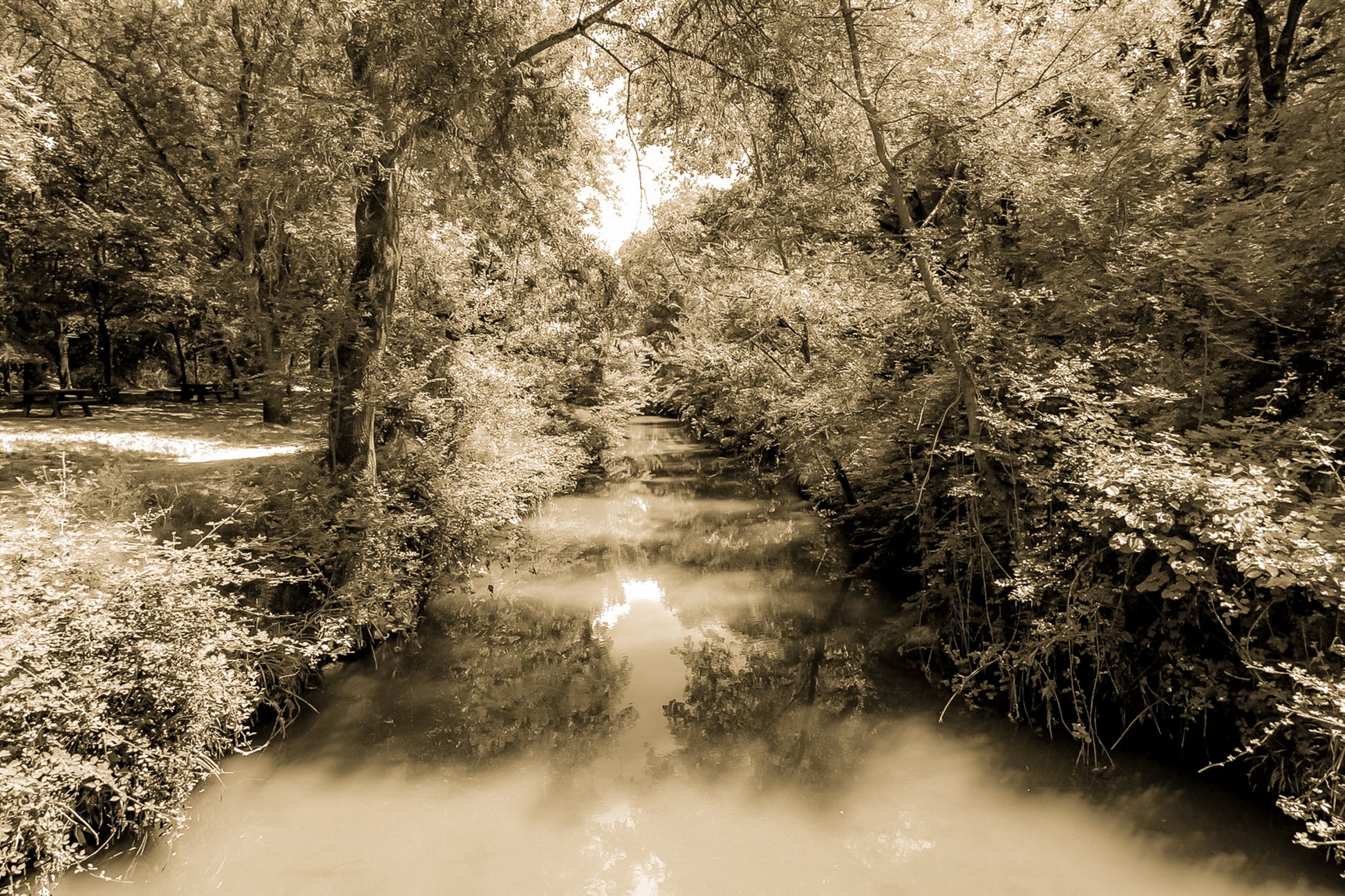 Rivière de l’Arc paisible entourée de grands arbres avec zone de pique-nique à Aix-en-Provence, vintage
