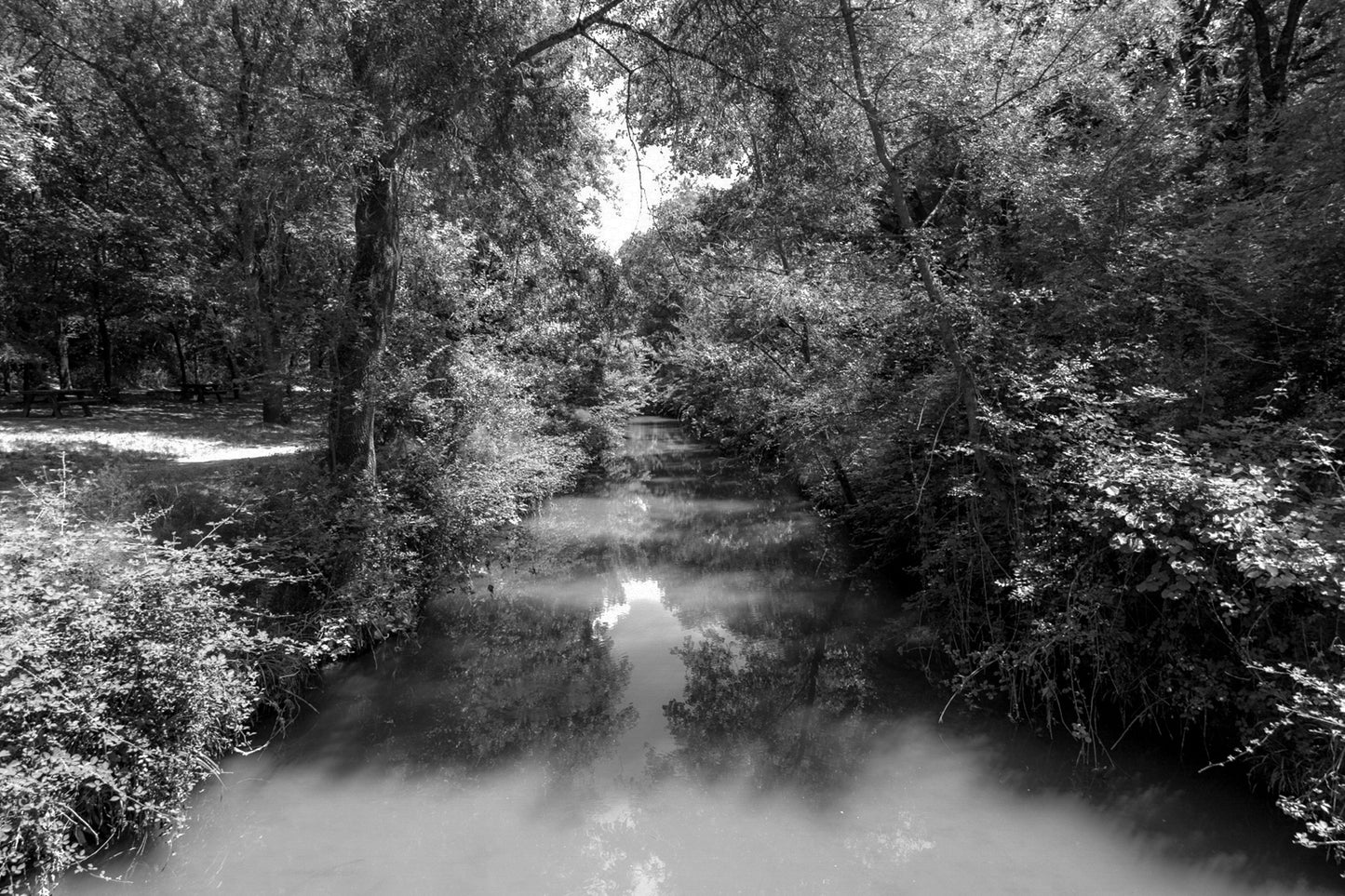 Rivière de l’Arc paisible entourée de grands arbres avec zone de pique-nique à Aix-en-Provence, noir et blanc