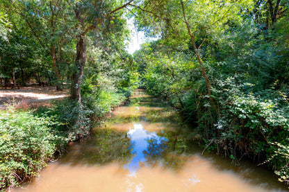 Rivière de l’Arc paisible entourée de grands arbres avec zone de pique-nique à Aix-en-Provence