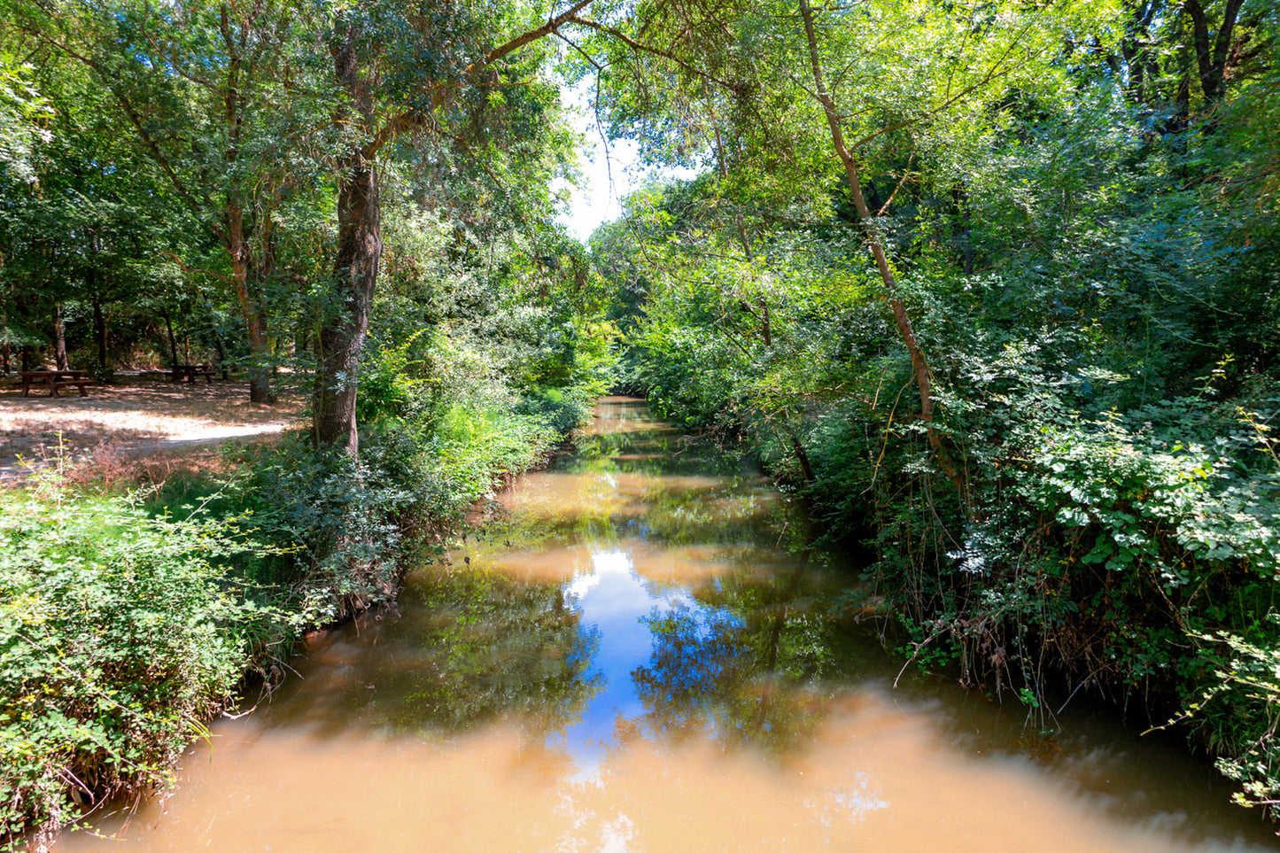 Rivière de l’Arc paisible entourée de grands arbres avec zone de pique-nique à Aix-en-Provence