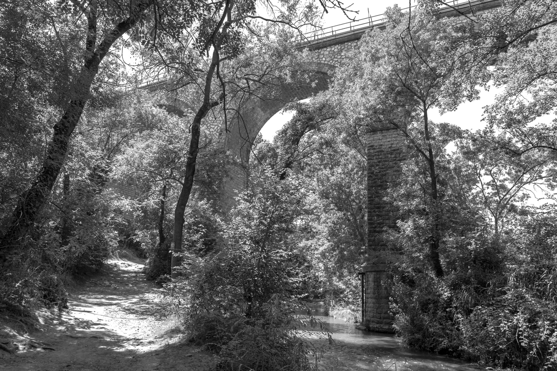 Viaduc de pierre traversant une vallée boisée au-dessus de la rivière de l’Arc, noir et blanc