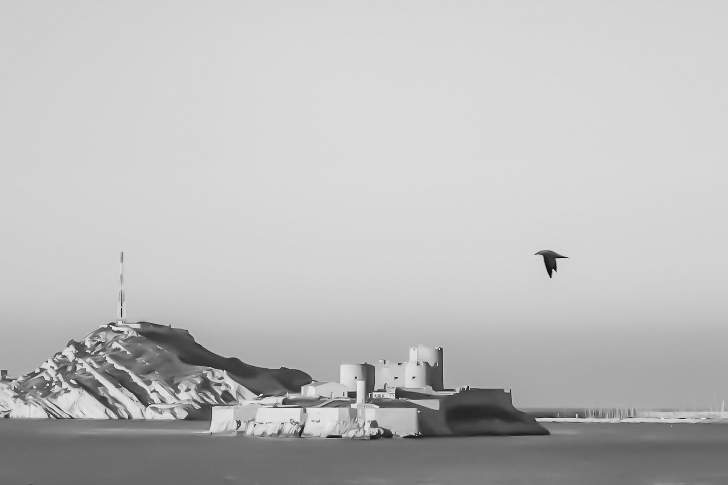 Château d’If en gros plan, goéland en vol et lumière rasante du soir sur les roches claires, noir et blanc