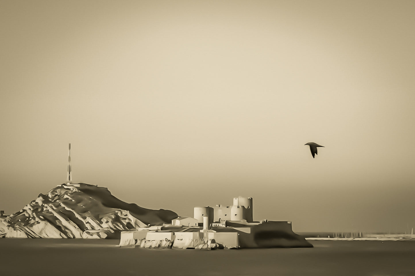 Château d’If en gros plan, goéland en vol et lumière rasante du soir sur les roches claires, vintage