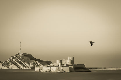 Château d’If en gros plan, goéland en vol et lumière rasante du soir sur les roches claires, vintage