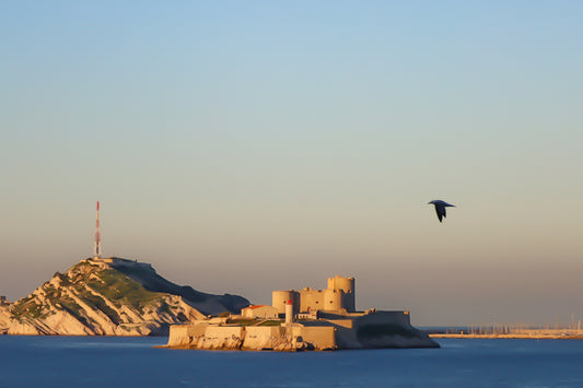 Château d’If en gros plan, goéland en vol et lumière rasante du soir sur les roches claires