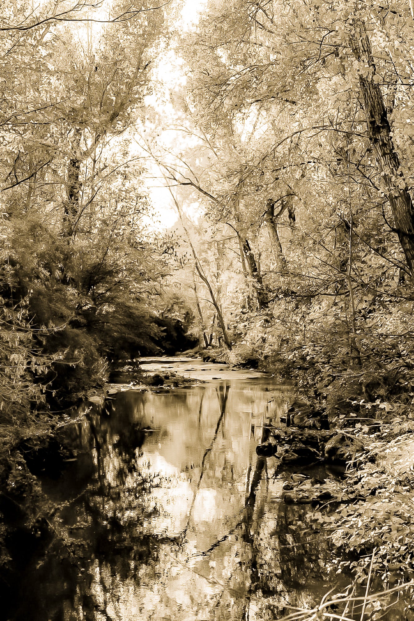 Rivière de l’Arc reflétant les feuillages jaunes et verts en automne, vintage