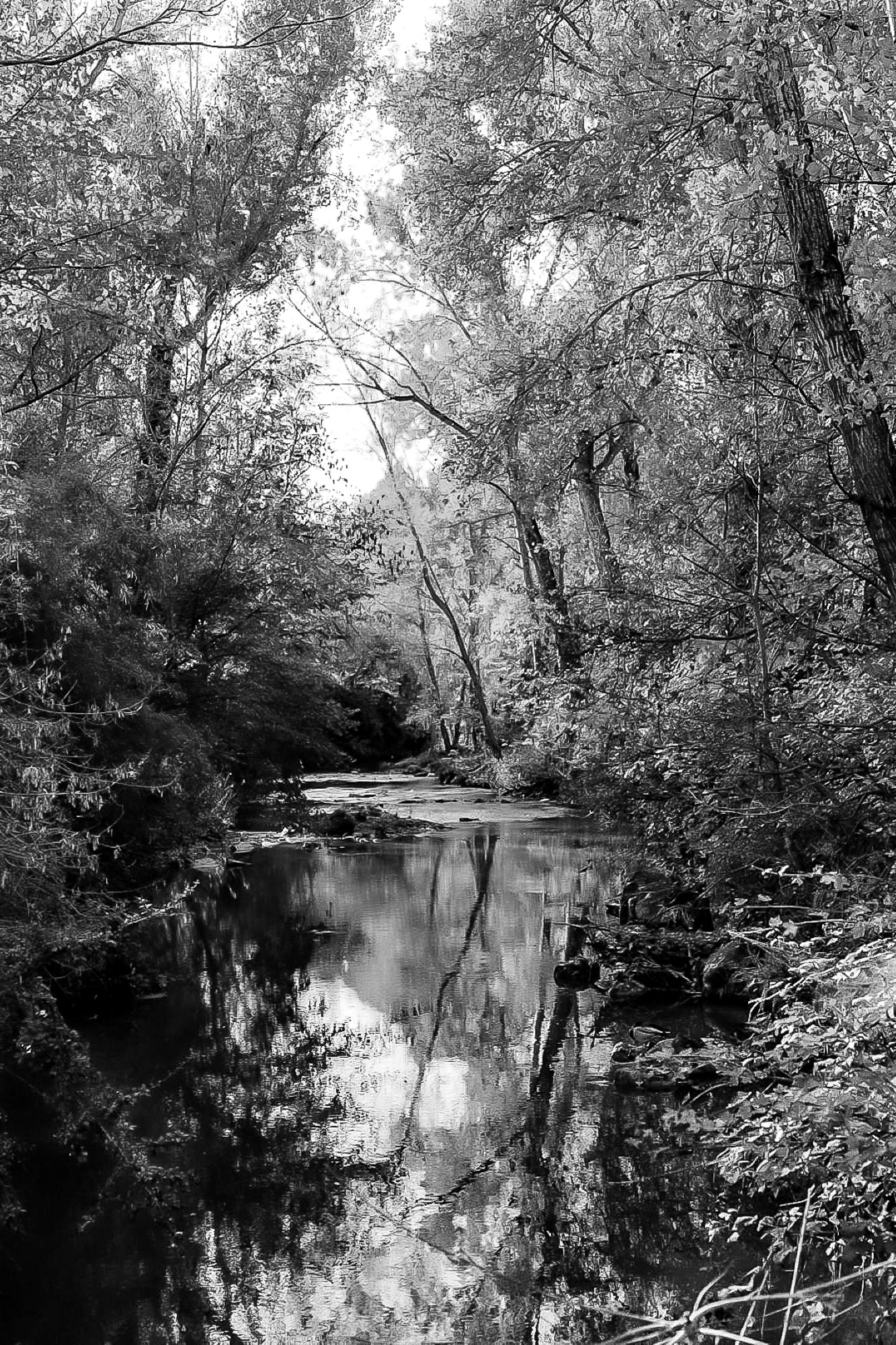 Rivière de l’Arc reflétant les feuillages jaunes et verts en automne, noir et blanc