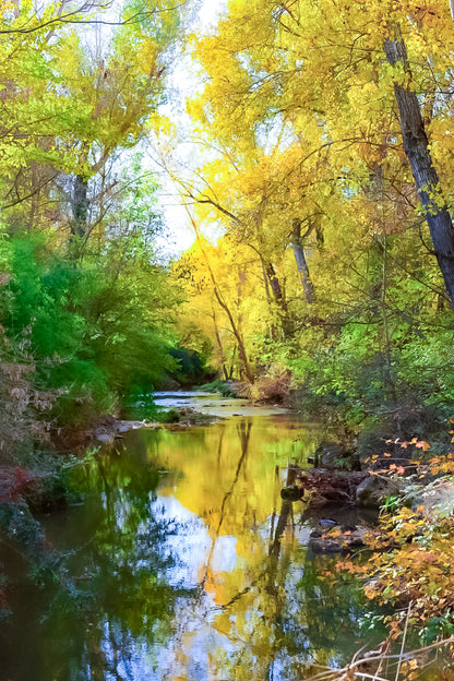 Rivière de l’Arc reflétant les feuillages jaunes et verts en automne