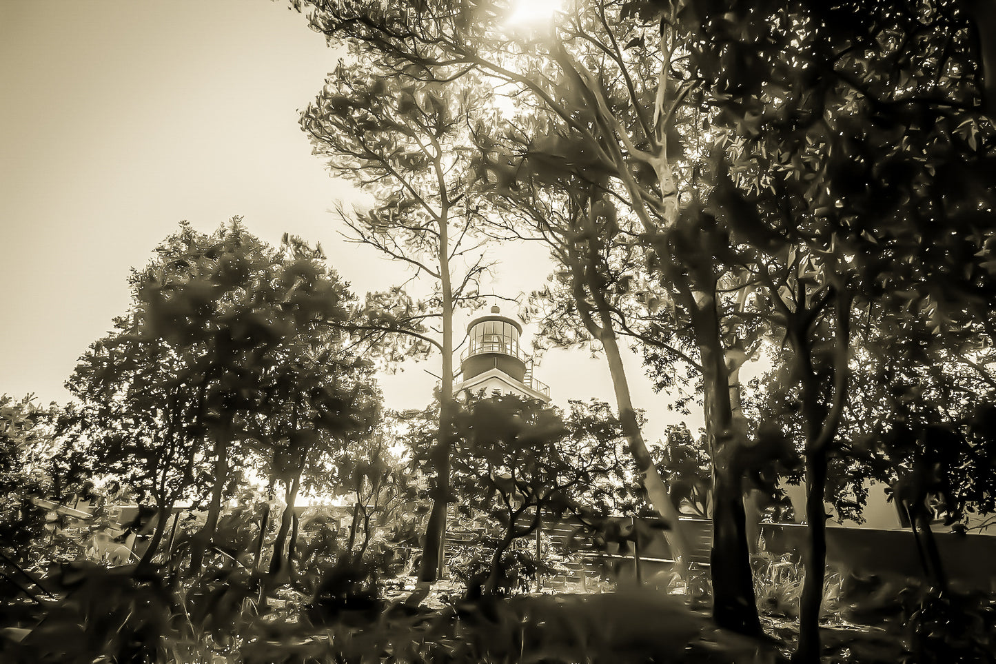 Phare de Porquerolles aperçu à travers les pins maritimes, lumière filtrée et ambiance de sous-bois méditerranéen, vintage