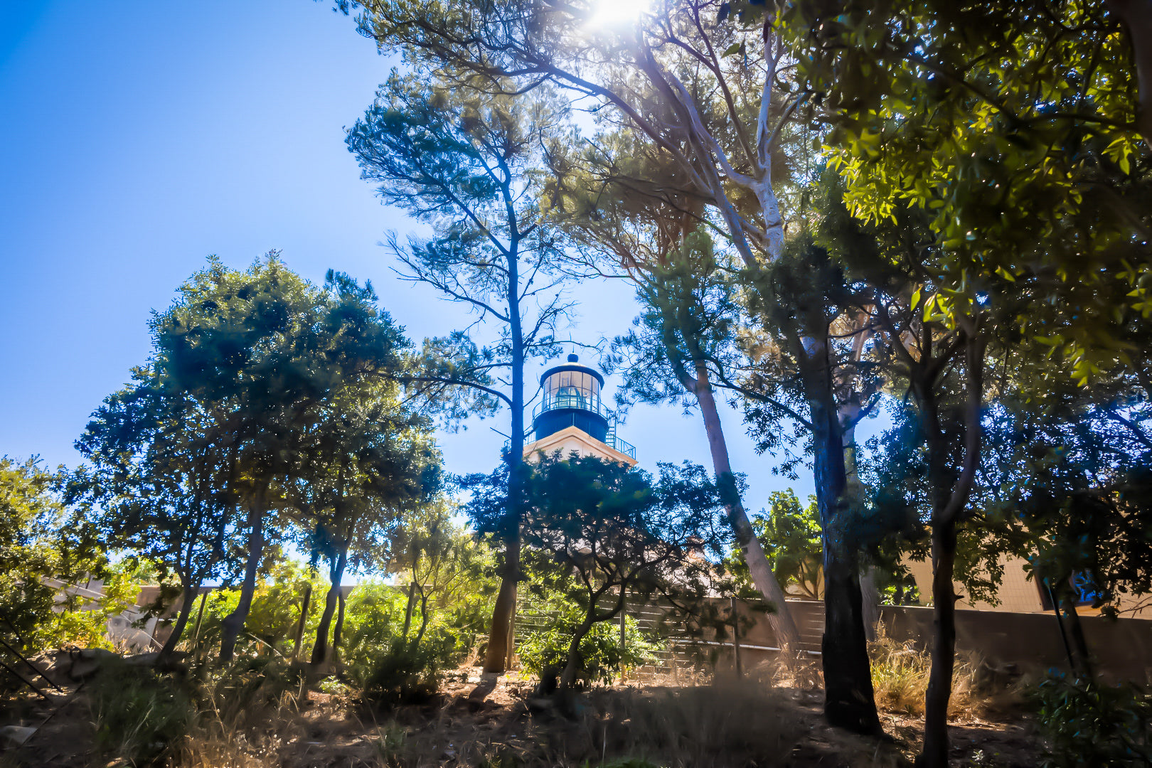 Phare de Porquerolles aperçu à travers les pins maritimes, lumière filtrée et ambiance de sous-bois méditerranéen