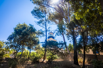 Phare de Porquerolles aperçu à travers les pins maritimes, lumière filtrée et ambiance de sous-bois méditerranéen