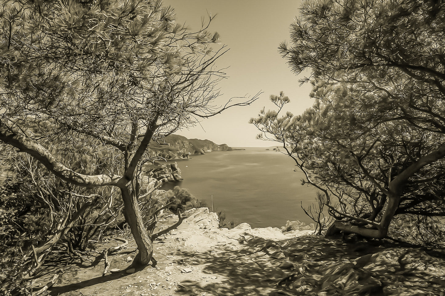 Point de vue du sentier du littoral encadré par les pins, falaises et Méditerranée d’un bleu profond à l’horizon, vintage