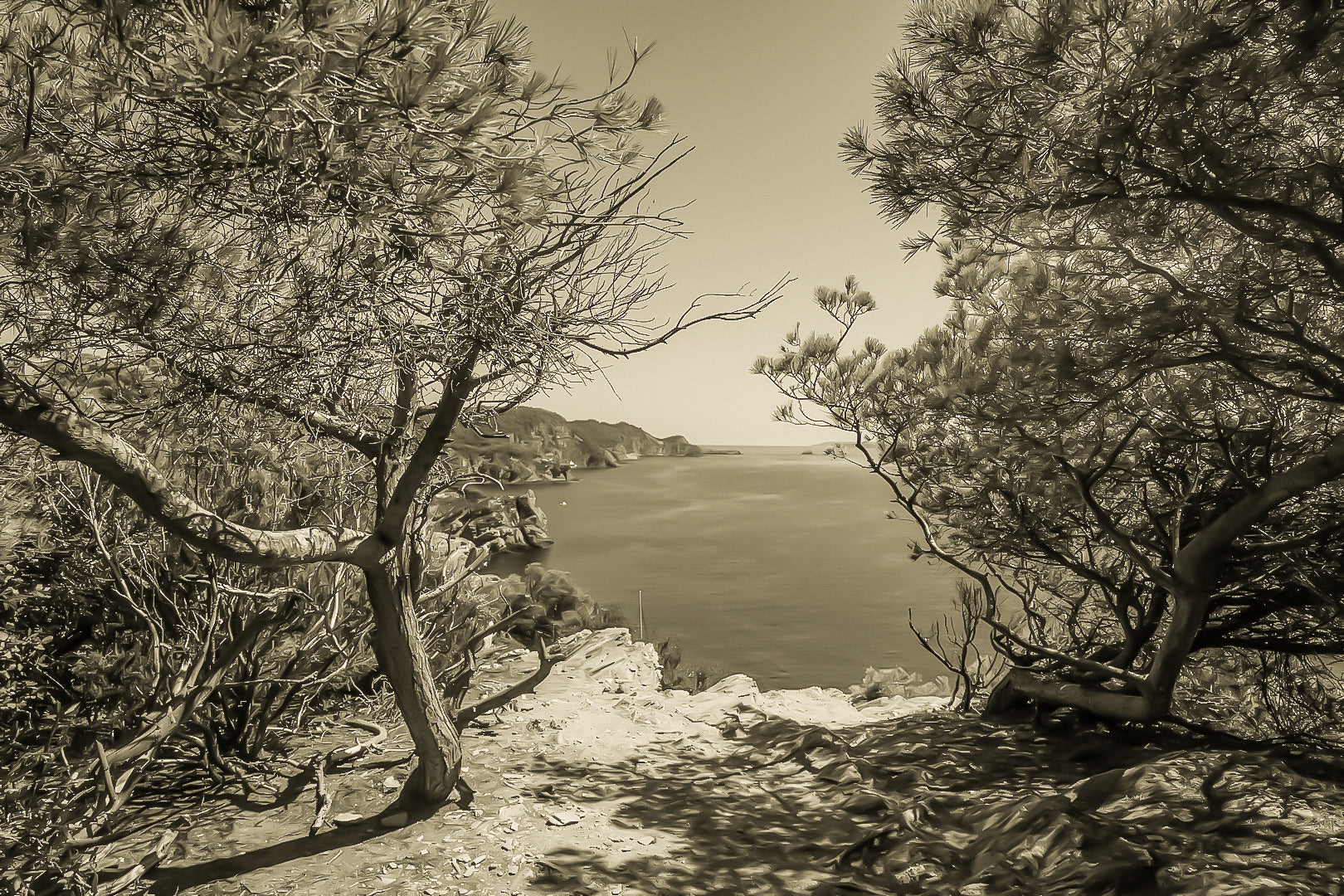 Point de vue du sentier du littoral encadré par les pins, falaises et Méditerranée d’un bleu profond à l’horizon, vintage