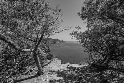 Point de vue du sentier du littoral encadré par les pins, falaises et Méditerranée d’un bleu profond à l’horizon, noir et blanc
