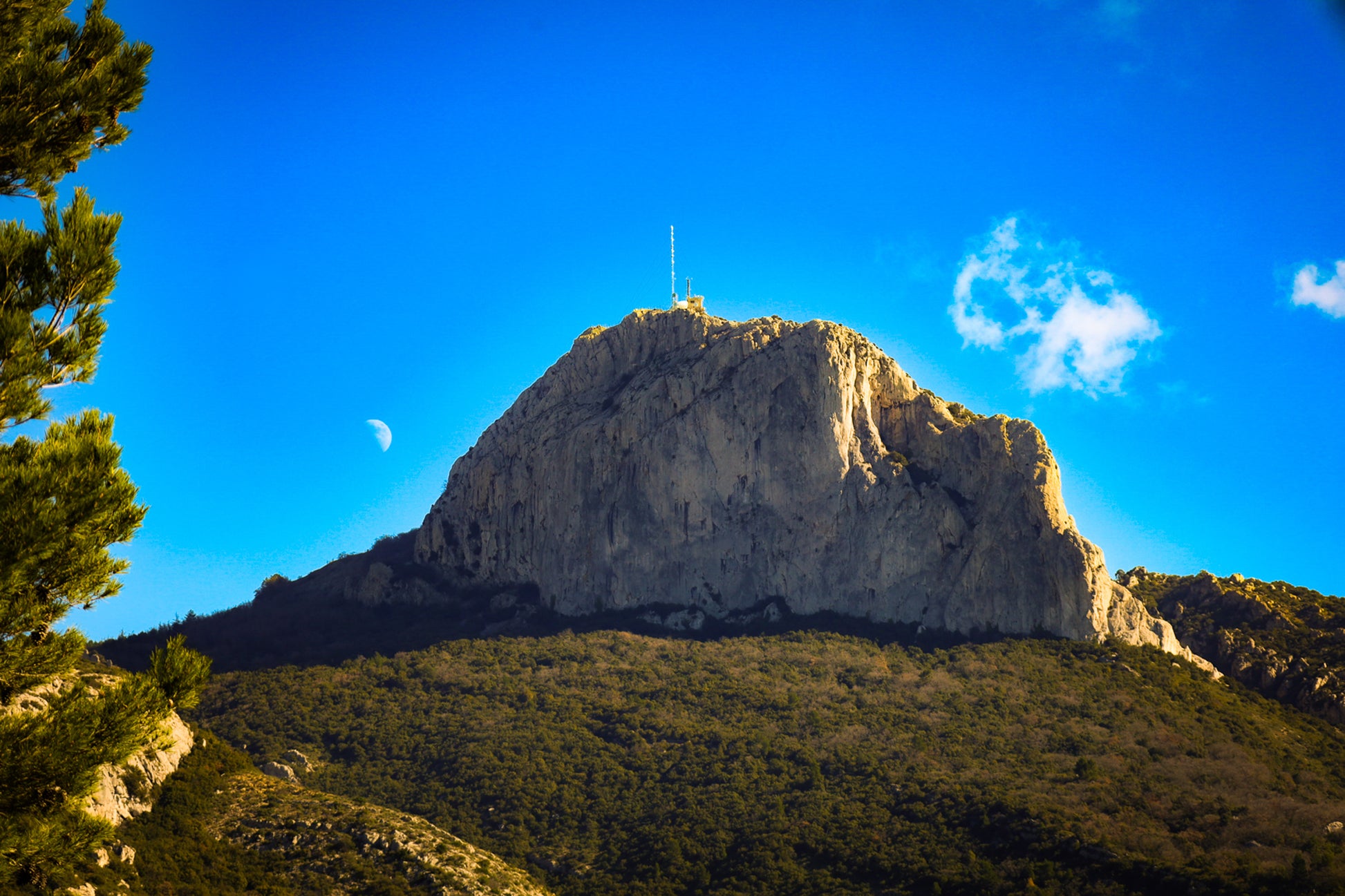 Vue en couleur du massif de la Sainte-Baume, pins au premier plan, lune au-dessus du sommet sous un ciel bleu vif