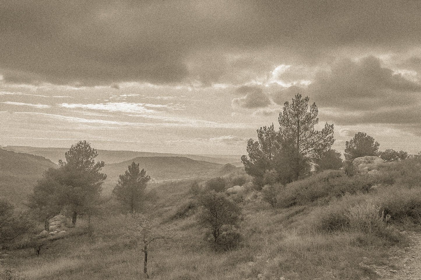 Paysage de garrigue au lever du jour sous de gros nuages, vue sur les collines de la Sainte-Victoire, vintage
