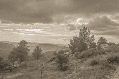 Paysage de garrigue au lever du jour sous de gros nuages, vue sur les collines de la Sainte-Victoire, vintage