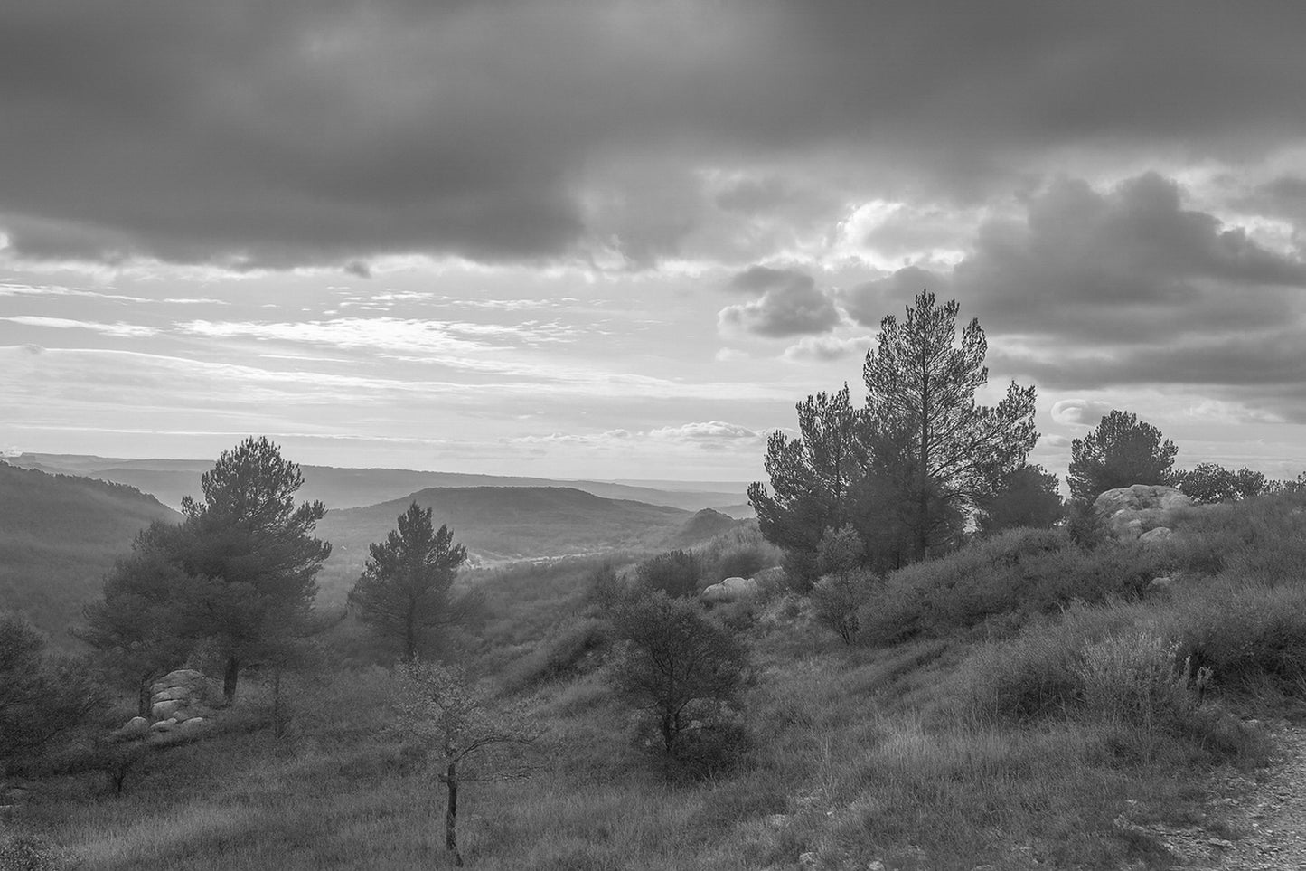 Paysage de garrigue au lever du jour sous de gros nuages, vue sur les collines de la Sainte-Victoire, noir et blanc