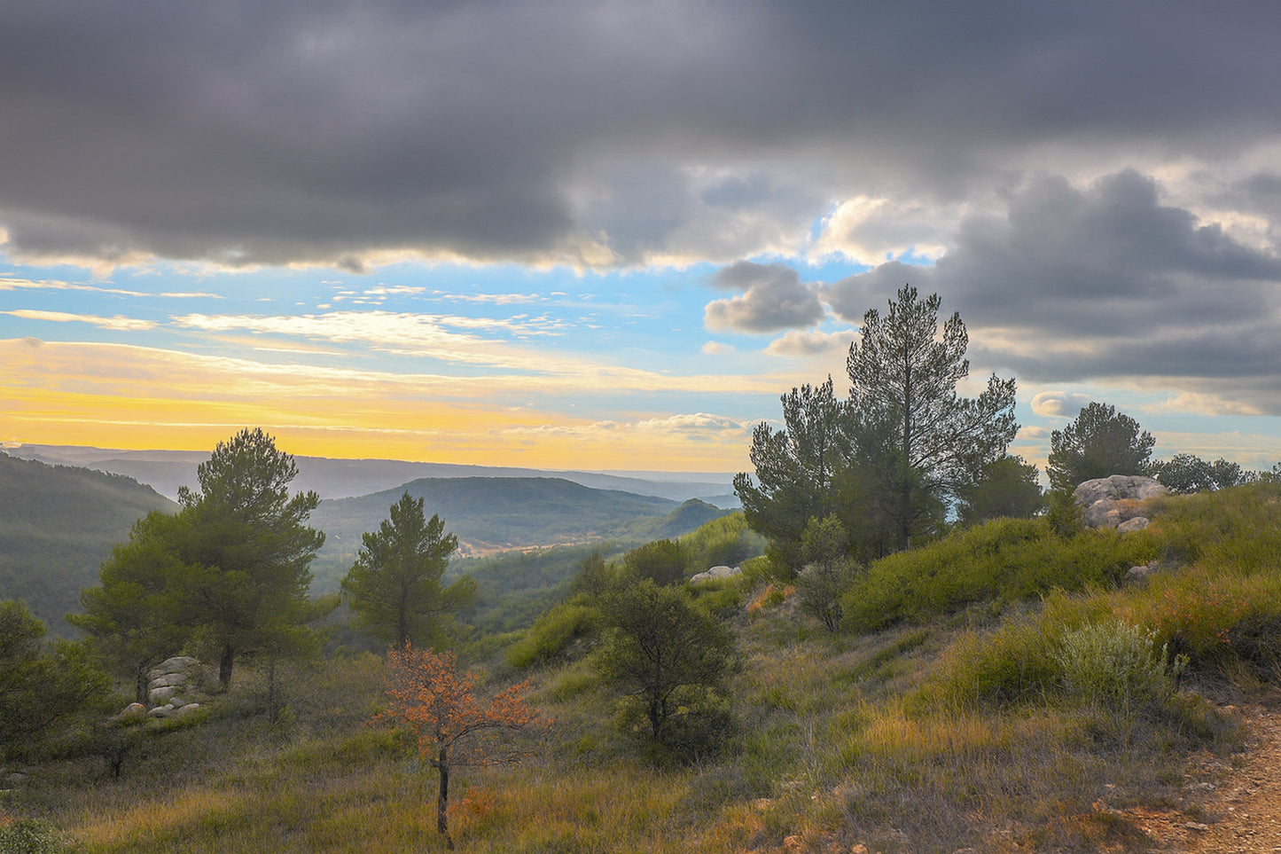 Paysage de garrigue au lever du jour sous de gros nuages, vue sur les collines de la Sainte-Victoire