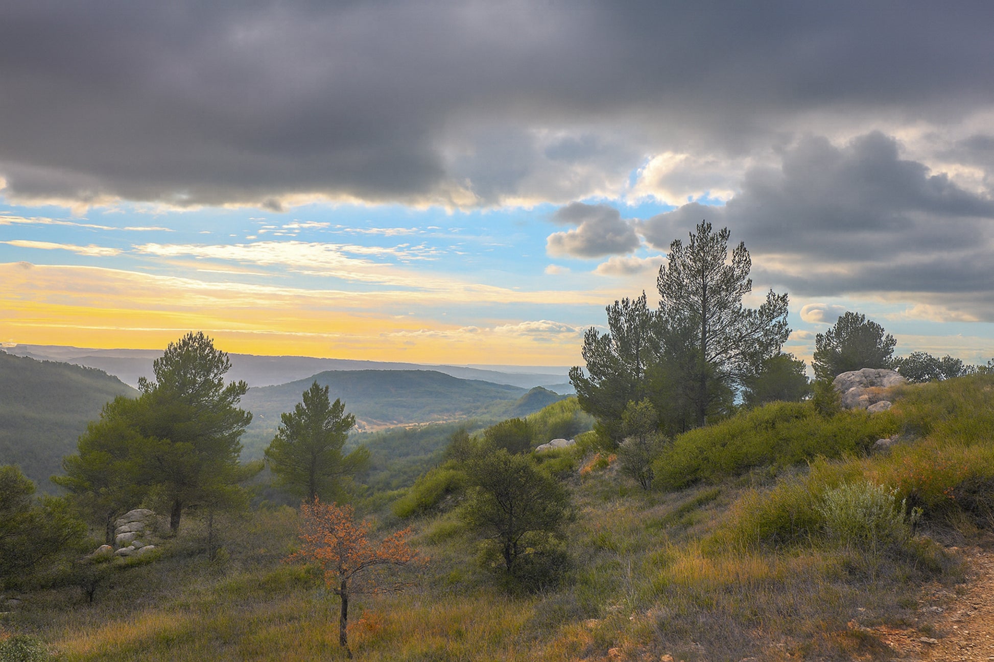 Paysage de garrigue au lever du jour sous de gros nuages, vue sur les collines de la Sainte-Victoire