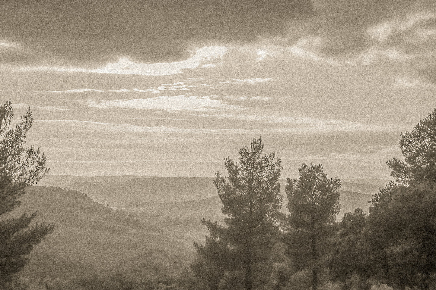 Vue plongeante sur une vallée boisée avec pins en contre-jour et ciel pastel au-dessus de la Sainte-Victoire, vintage