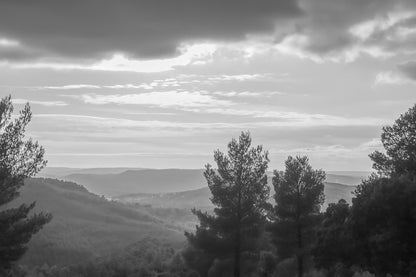 Vue plongeante sur une vallée boisée avec pins en contre-jour et ciel pastel au-dessus de la Sainte-Victoire, noir et blanc