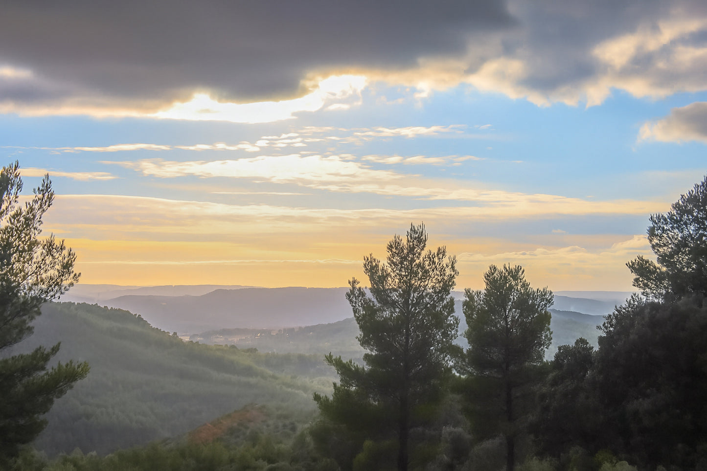 Vue plongeante sur une vallée boisée avec pins en contre-jour et ciel pastel au-dessus de la Sainte-Victoire