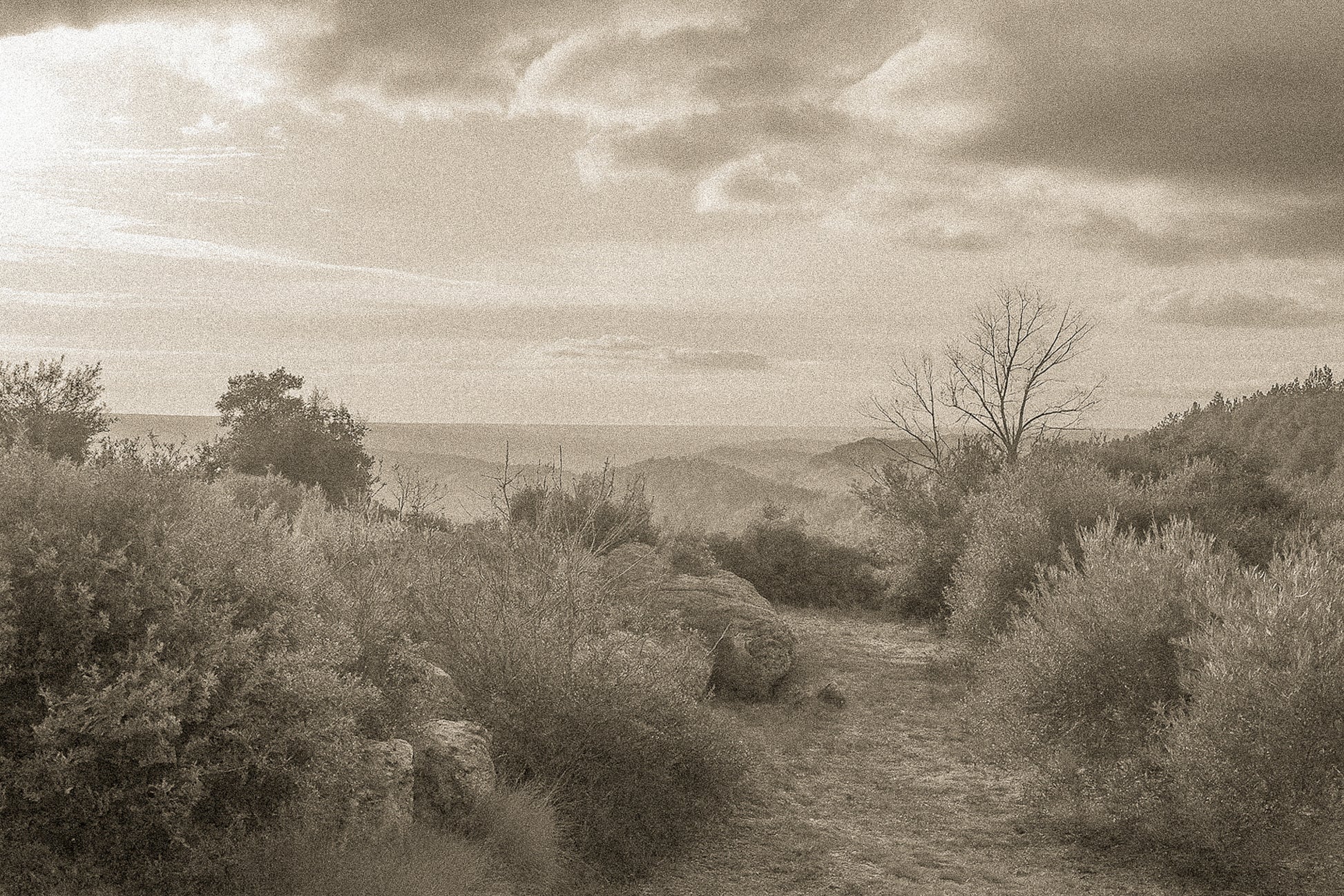 Sentier de garrigue bordé de buissons et de rochers, lumière chaude de fin de journée sur les collines, vintage