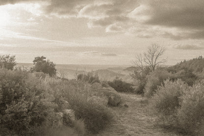Sentier de garrigue bordé de buissons et de rochers, lumière chaude de fin de journée sur les collines, vintage