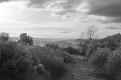 Sentier de garrigue bordé de buissons et de rochers, lumière chaude de fin de journée sur les collines, noir et blanc