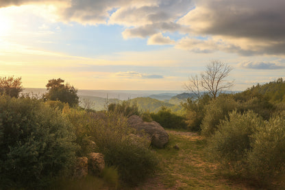Sentier de garrigue bordé de buissons et de rochers, lumière chaude de fin de journée sur les collines