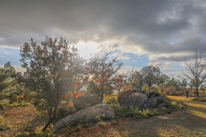 Arbres aux feuilles rousses et gros rochers éclairés par un soleil bas filtrant à travers les nuages