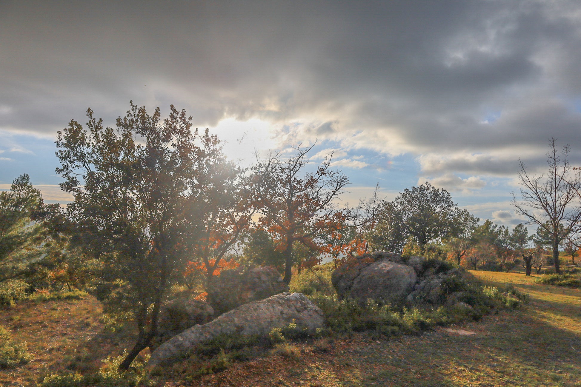 Arbres aux feuilles rousses et gros rochers éclairés par un soleil bas filtrant à travers les nuages