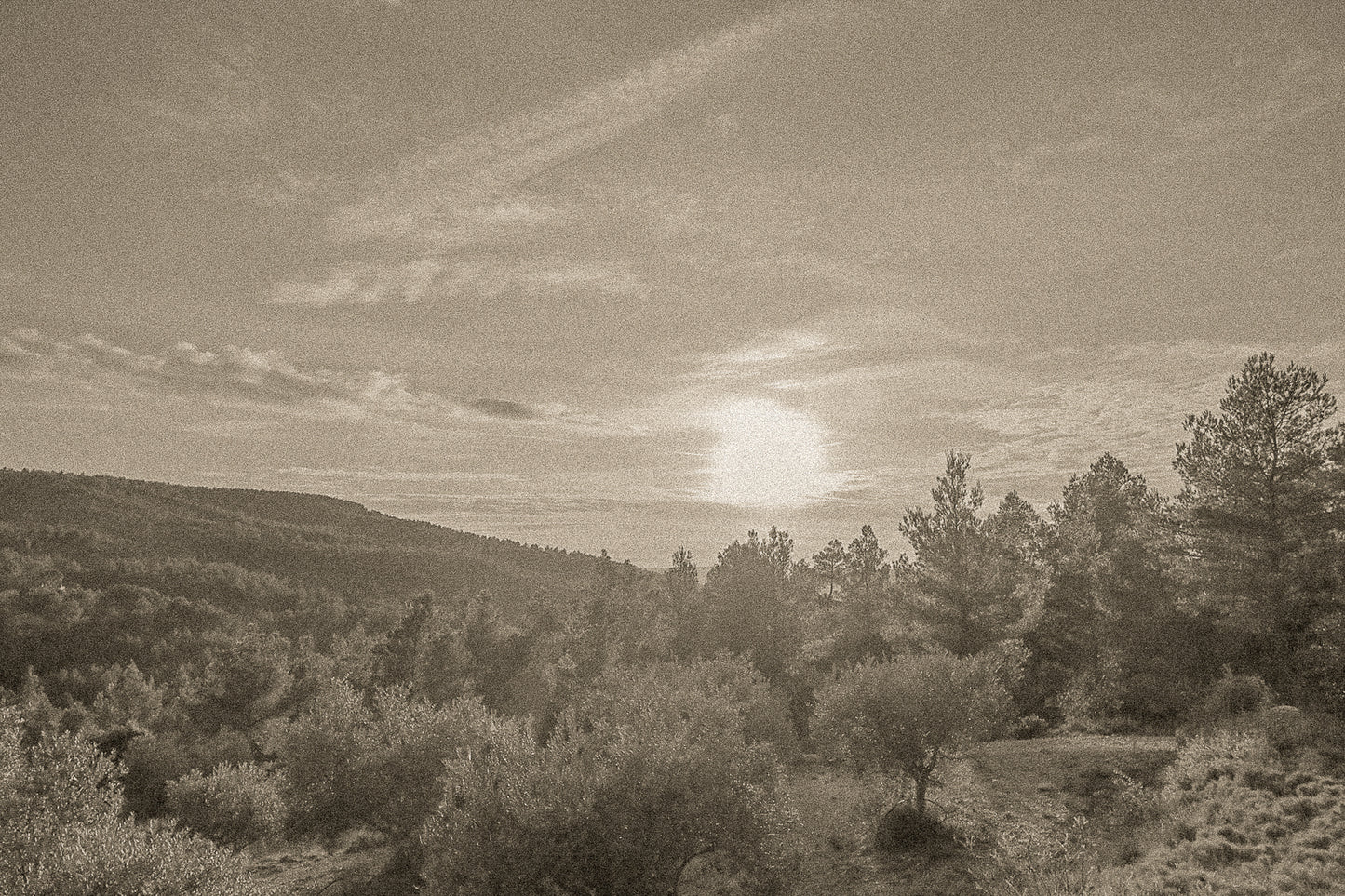 Chemin de garrigue au crépuscule, soleil bas dans un ciel orangé éclairant les buissons et les collines lointaines, vintage
