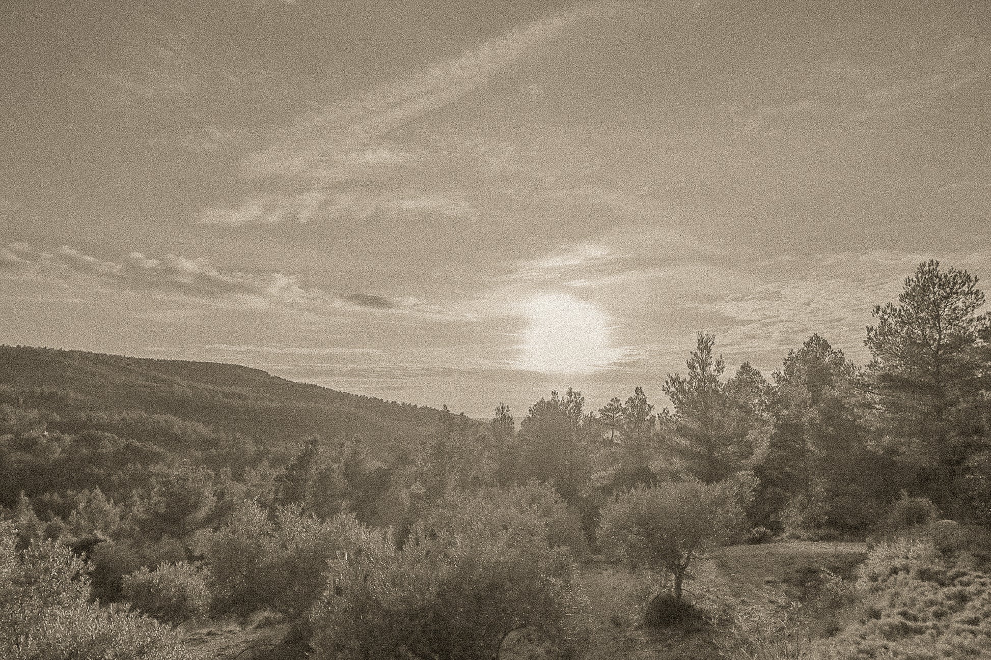 Chemin de garrigue au crépuscule, soleil bas dans un ciel orangé éclairant les buissons et les collines lointaines, vintage