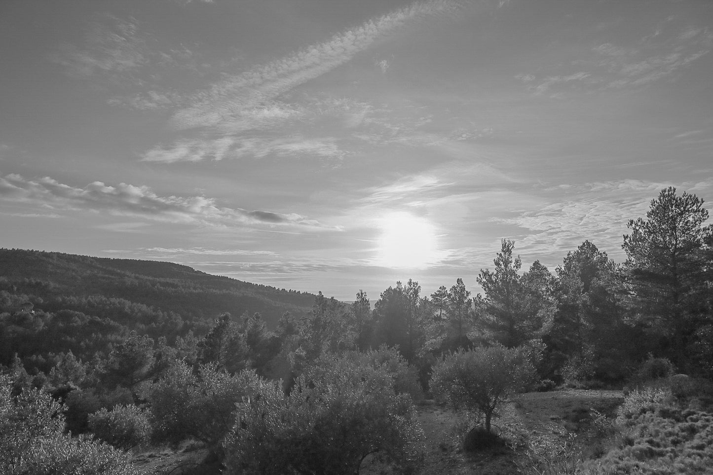 Chemin de garrigue au crépuscule, soleil bas dans un ciel orangé éclairant les buissons et les collines lointaines, noir et blanc