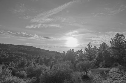 Chemin de garrigue au crépuscule, soleil bas dans un ciel orangé éclairant les buissons et les collines lointaines, noir et blanc
