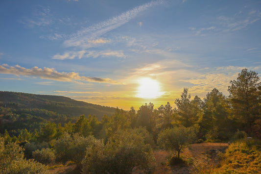 Chemin de garrigue au crépuscule, soleil bas dans un ciel orangé éclairant les buissons et les collines lointaines