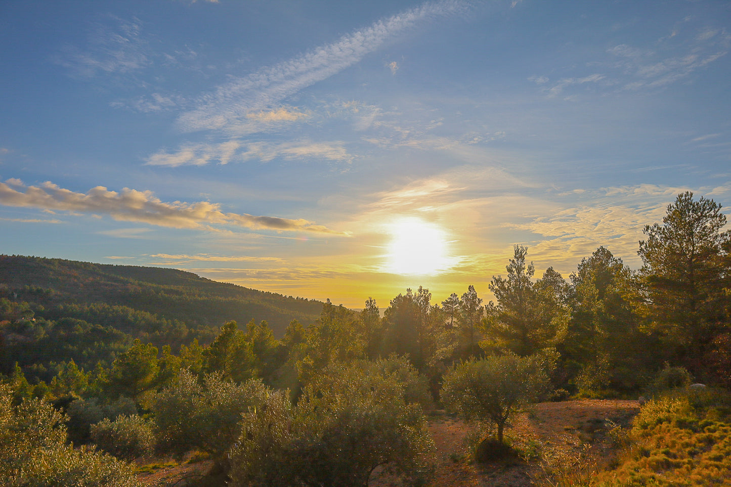 Chemin de garrigue au crépuscule, soleil bas dans un ciel orangé éclairant les buissons et les collines lointaines