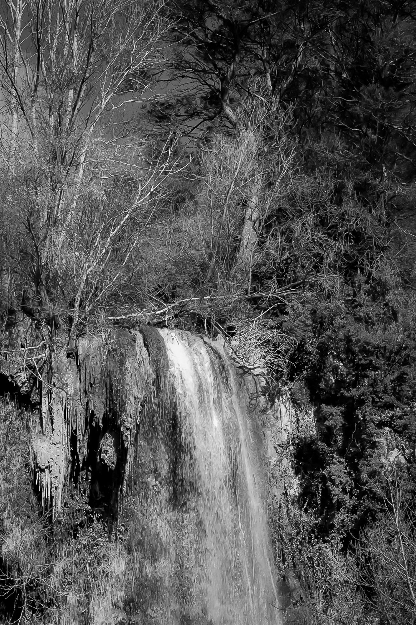 Gros plan vertical sur la cascade de Sillans avec eau ruisselante et mousses vertes accrochées à la falaise, noir et blanc