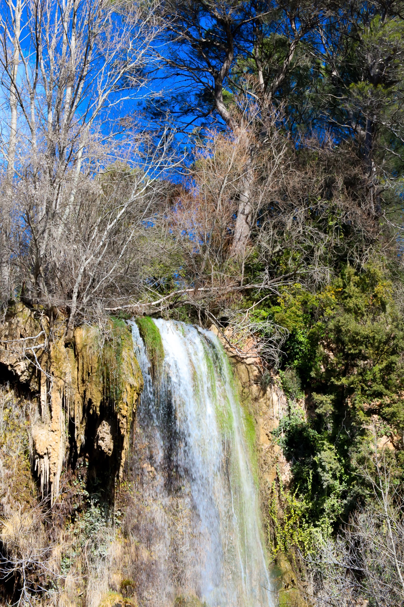 Gros plan vertical sur la cascade de Sillans avec eau ruisselante et mousses vertes accrochées à la falaise