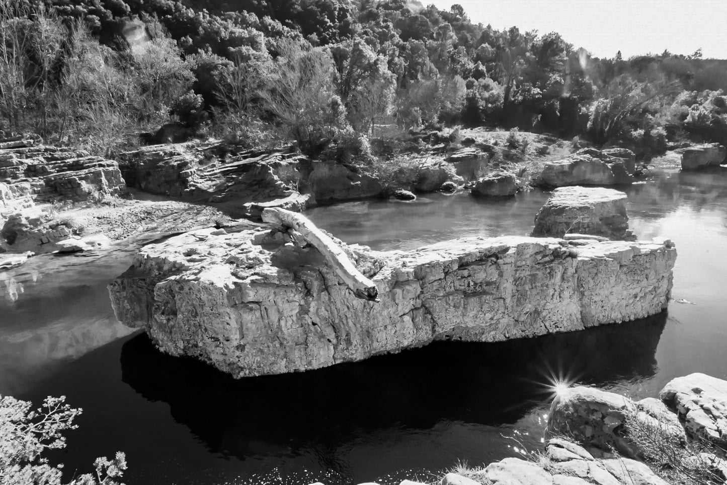 Rocher allongé sur la Cèze avec tronc et reflets, entouré de berges rocheuses et de végétation, noir et blanc