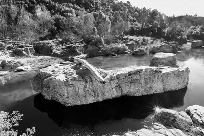 Rocher allongé sur la Cèze avec tronc et reflets, entouré de berges rocheuses et de végétation, noir et blanc