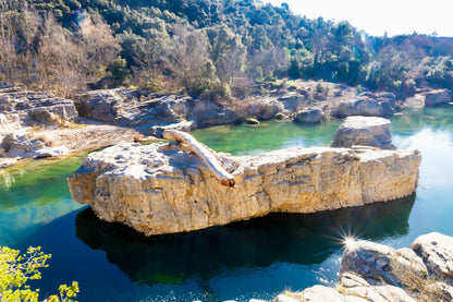 Rocher allongé sur la Cèze avec tronc et reflets, entouré de berges rocheuses et de végétation