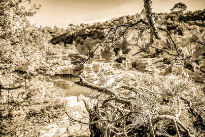 Branches de chêne et de pin en premier plan, vasques turquoise et roches du Sautadet en arrière-plan, vintage